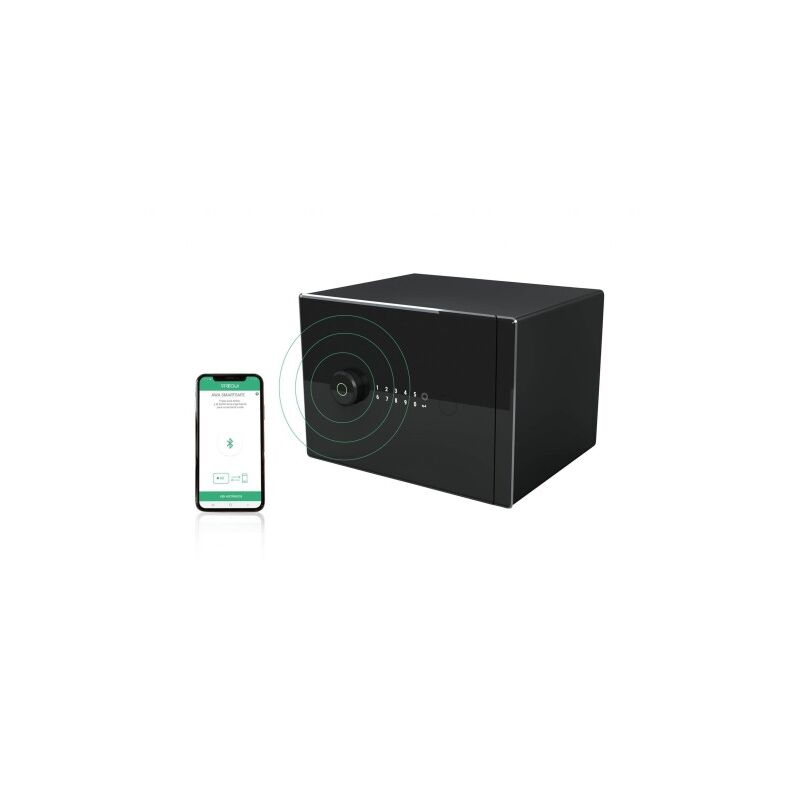 

Caja Fuerte Seguridad 385X270X300Mm Sobrep Arregui Ac Ne Caja Fuer