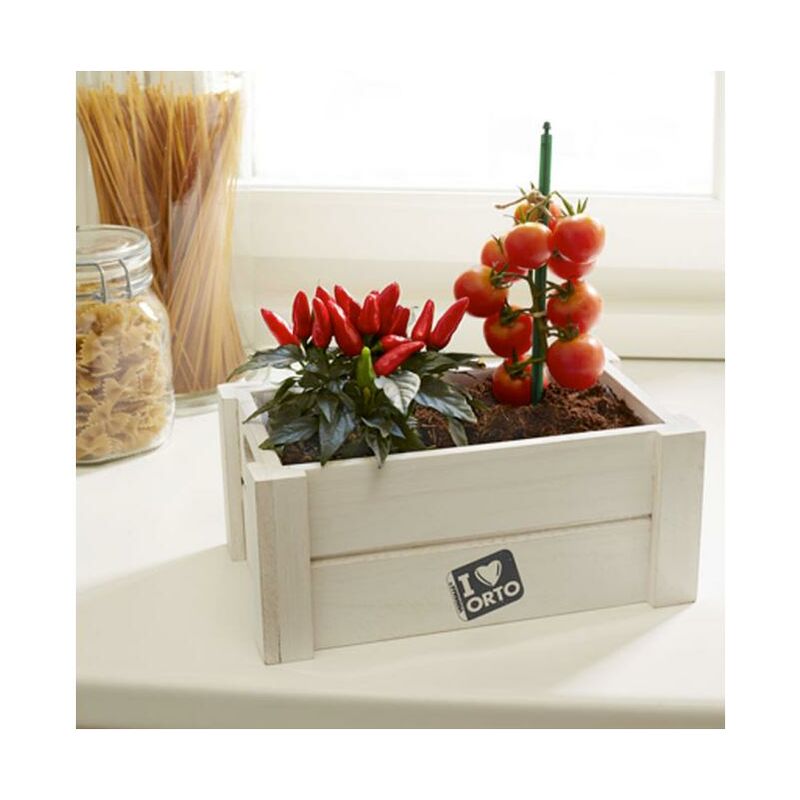 

Caja huerto verduras Easy Orto