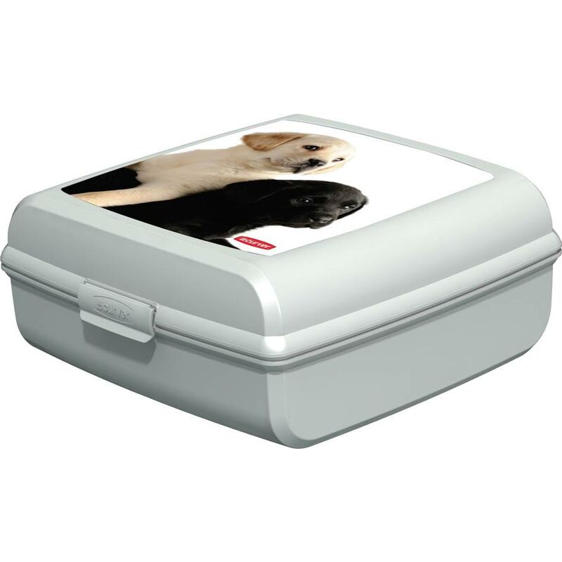 

Contenedor Snap Box L gatos - Curver