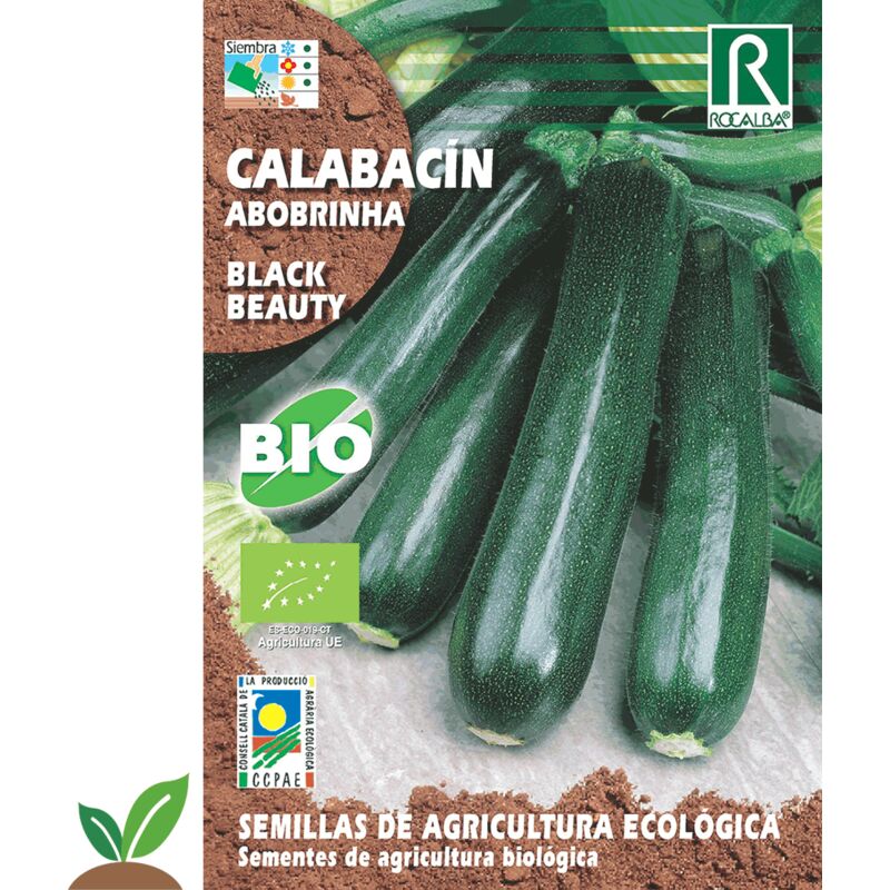 

Calabacin Black Beauty Eco