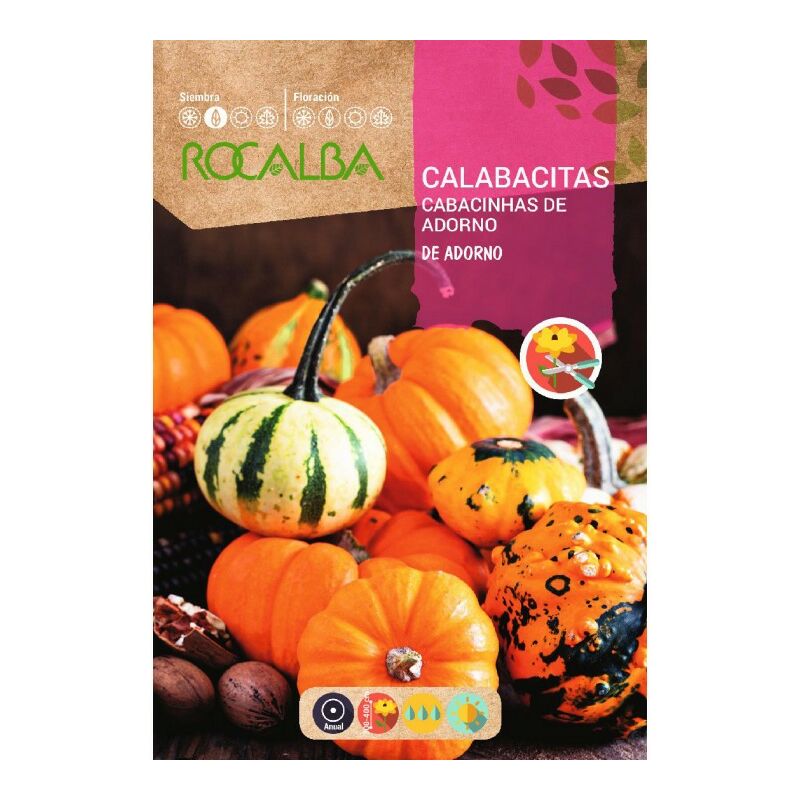

Calabacitas De Adorno Variadas - Sobre De Semillas 10G