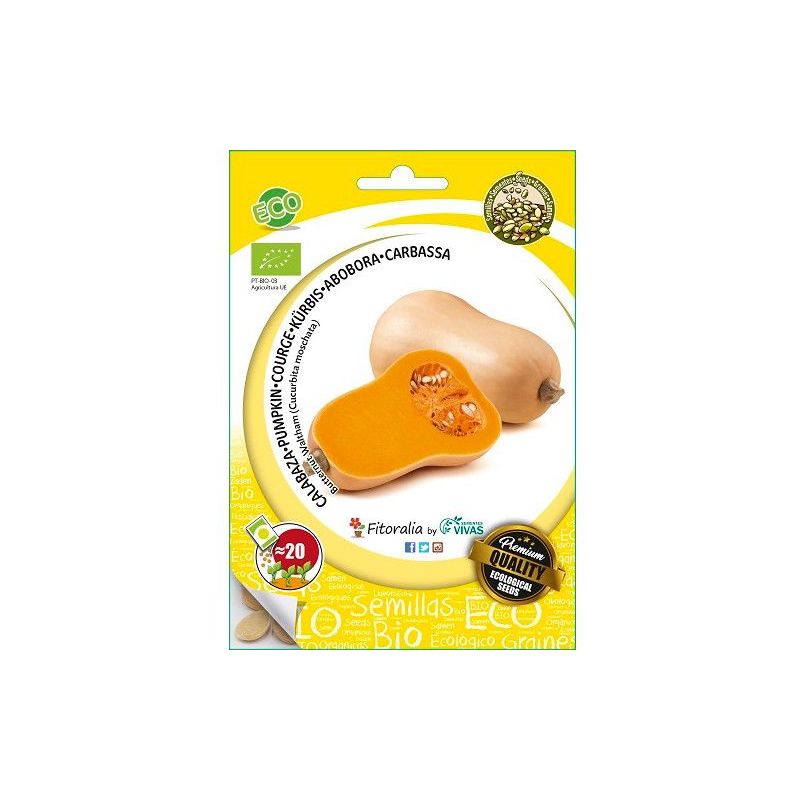 

Calabaza Butternut ECO - Semillas