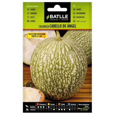 CALABAZA CABELLO ANGEL PASTELERA