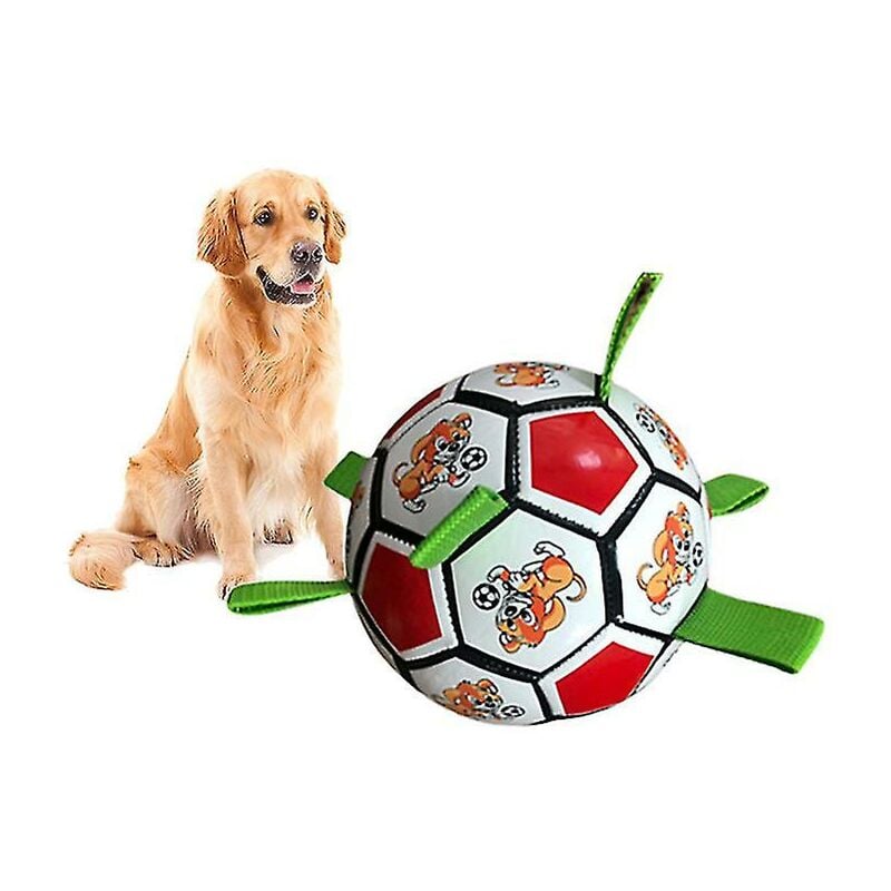 Calcio giocattolo per morso di cane