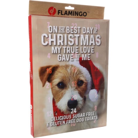 Calendrier de l'avent Noël pour chien 295 g - Flamingo