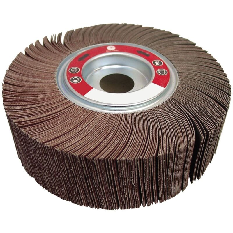 Meules avec noyau de mille lames, Ø extérieur 165 mm, épaisseur 25 mm, noyau 25,4 mm, grain 100 Calflex RN16525.100