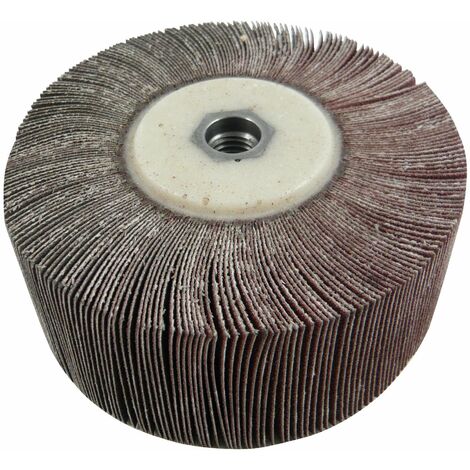CALFLEX RN12020M14.40 - Ruedas mil hojas para amoladoras angulares RN M14 (� Ext. 120 mm Espesor 20 mm N�cleo M14 mm Grano 40)