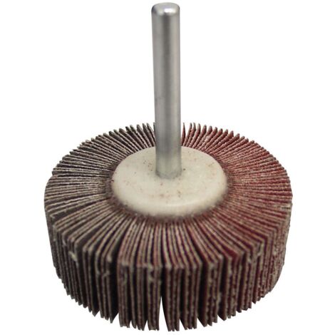 CALFLEX RV3010/6.40 - Meules fraisées avec tige RV (Ø ext. 30 mm, épaisseur 10 mm, tige 6 mm, grain 40)