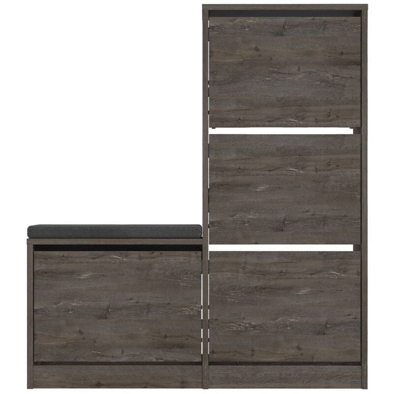 Calicosy - Meuble à chaussures 4 portes L105 cm - Dude