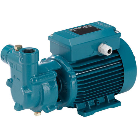 CALPEDA CA 60E 0,2 HP Elettropompa TRIFASE autoadescante ad anello liquido