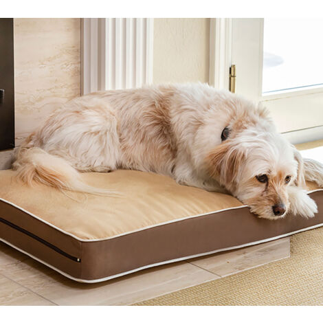 Cama para Perros y Gatos- Fácil de Lavar - 3 tamaños Diferentes en función del tamaño del Perro (Medium (69x47cm))