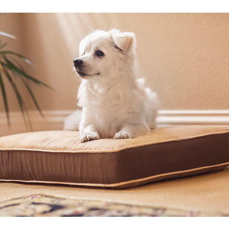 Cama para Perros y Gatos- Fácil de Lavar - 3 tamaños Diferentes en función del tamaño del Perro (Small (54x40cm))