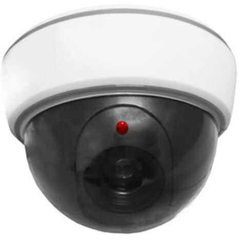 Camara Simulada De Techo Con Piloto Led 61.153
