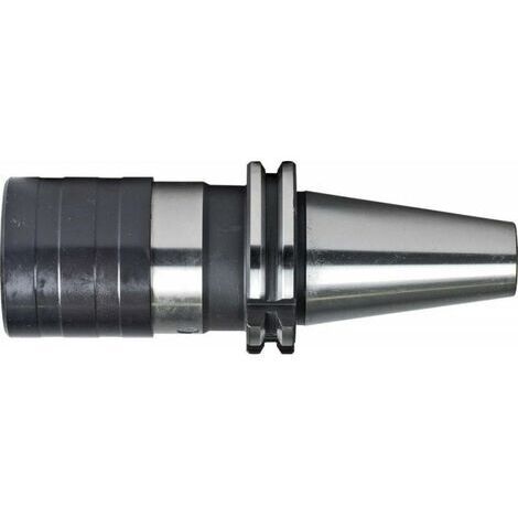 Cambio Rapido Del Mandrino Din69871A M14-33 Sk50 Fortis