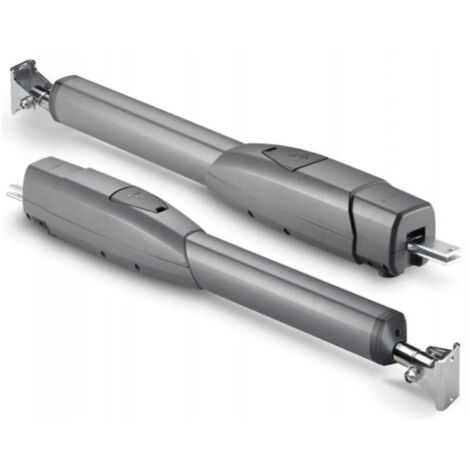CAME 2 x Motoreducteur irreversible pour portail battant ATS 30AGS 230v