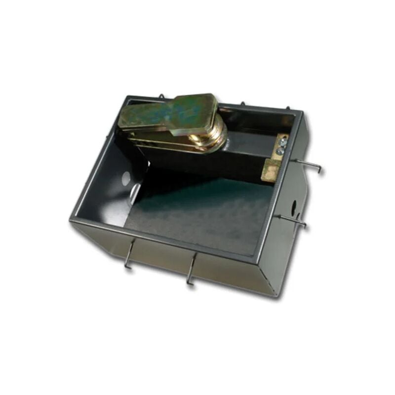 

came cajón enterrado izquierdo frog-cd 001frog-cs