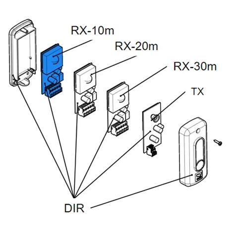 Came – Carte électronique RX-DIR10 – Composant électronique pour contrôle automatique – Tension 24V – Intensité 2A – 119RIR137