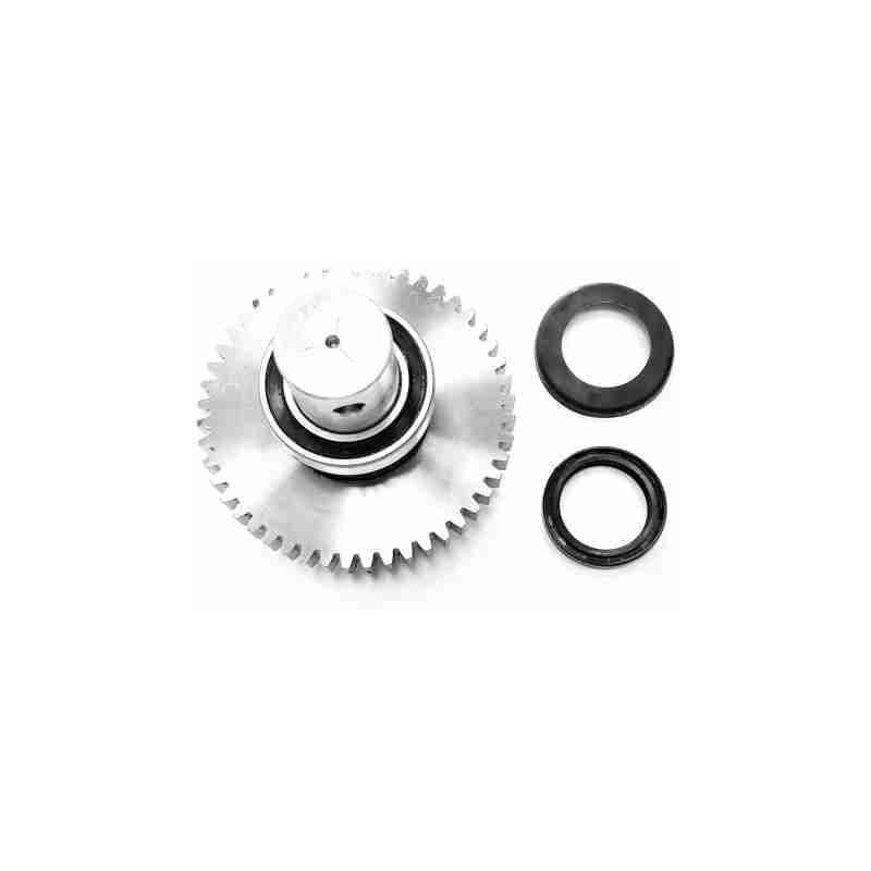 Engrenage à arbre lent – Remplacement du moteur Frog Came 119RIA015