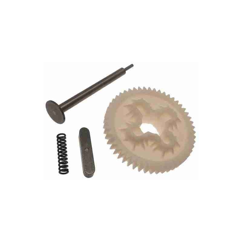 Groupe de réduction de couronne pour remplacement de moteur Bx-243 Came 119RIBX052