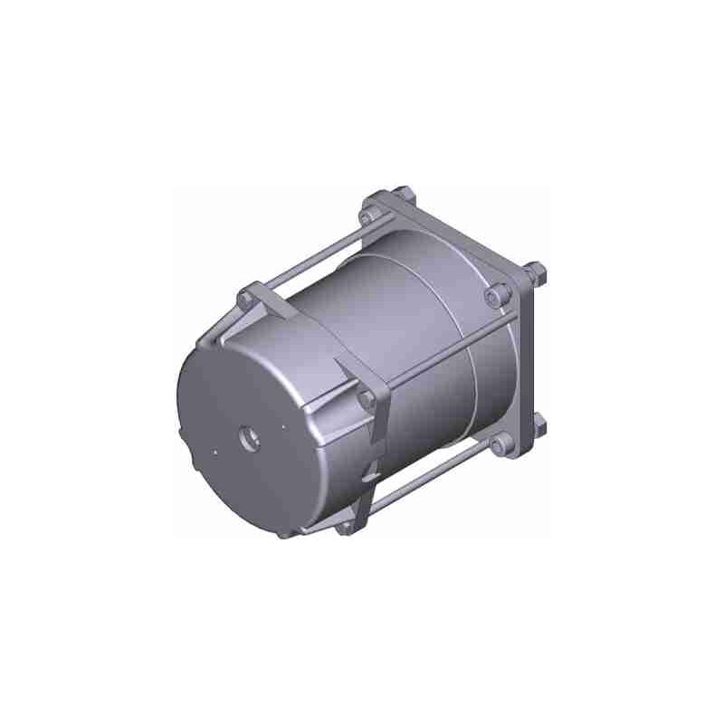 Groupe moteur électrique ferni F1024 24v Pièce de rechange Came 119RID095
