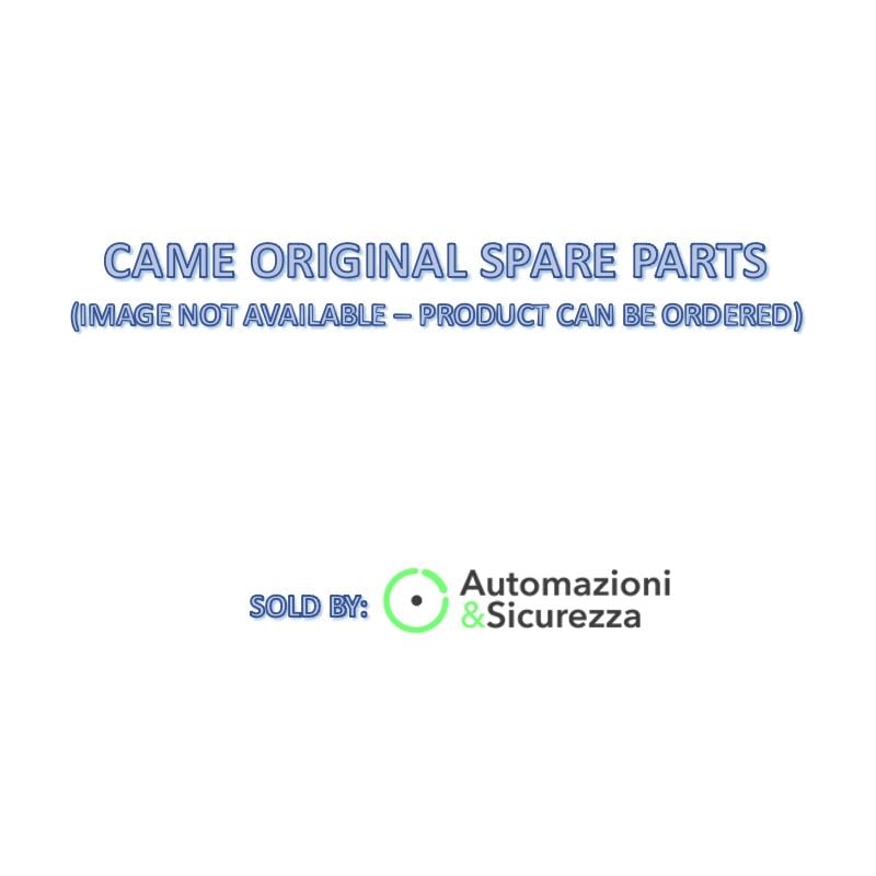 Serrure avec clé de rechange préférée Came 119RID1344023