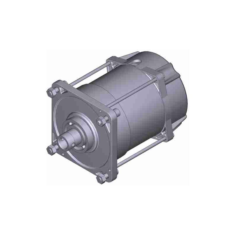 Groupe moteur électrique 230v – E306 Pièce de rechange Came 119RIE151