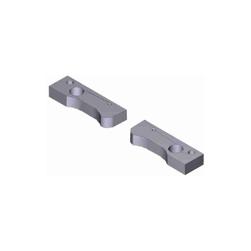 Paire de leviers de verrouillage Guardian de remplacement Came 119RIT293