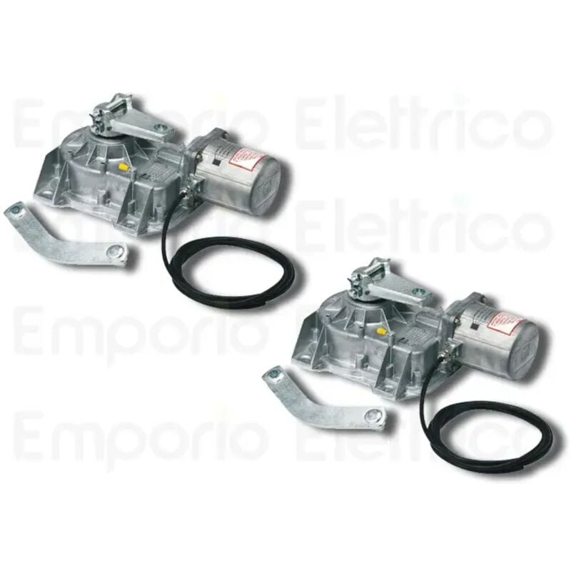 came 2 x motoréducteur 230v 001frog-a frog-a