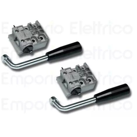 Came – Dispositif de déblocage à levier 2 pièces – Compatible motorisation portail – Clé incluse – A4364 pour série Frog - CAME 2 X