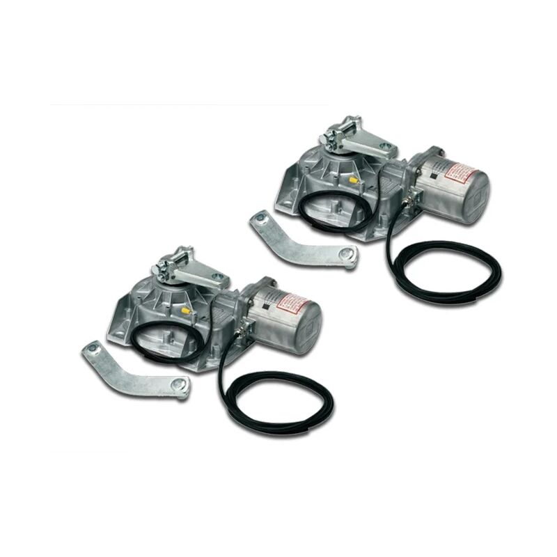 

came 2 x motorreductor enterrado 230v 001frog-ae frog-ae