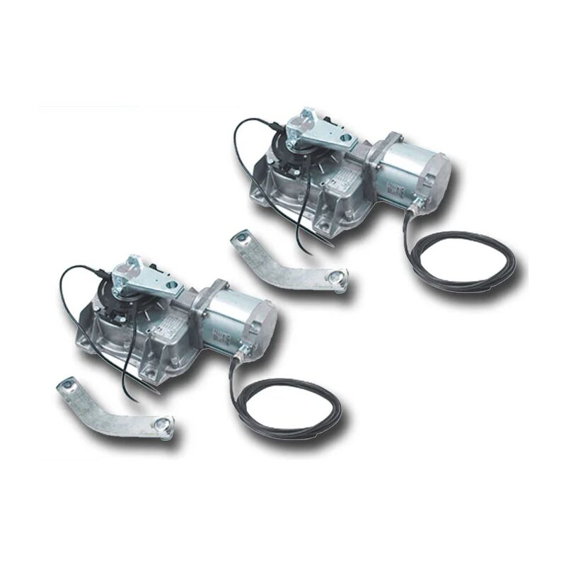

came 2 x motorreductor enterrado 24v 001frog-a24 frog-a24 ( 2 piezas )