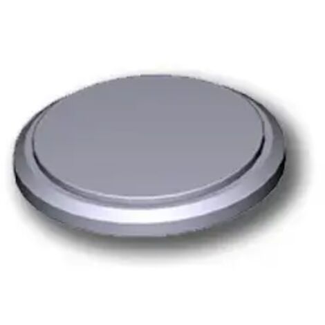 came pièce détachée batterie cr2450 119rir443
