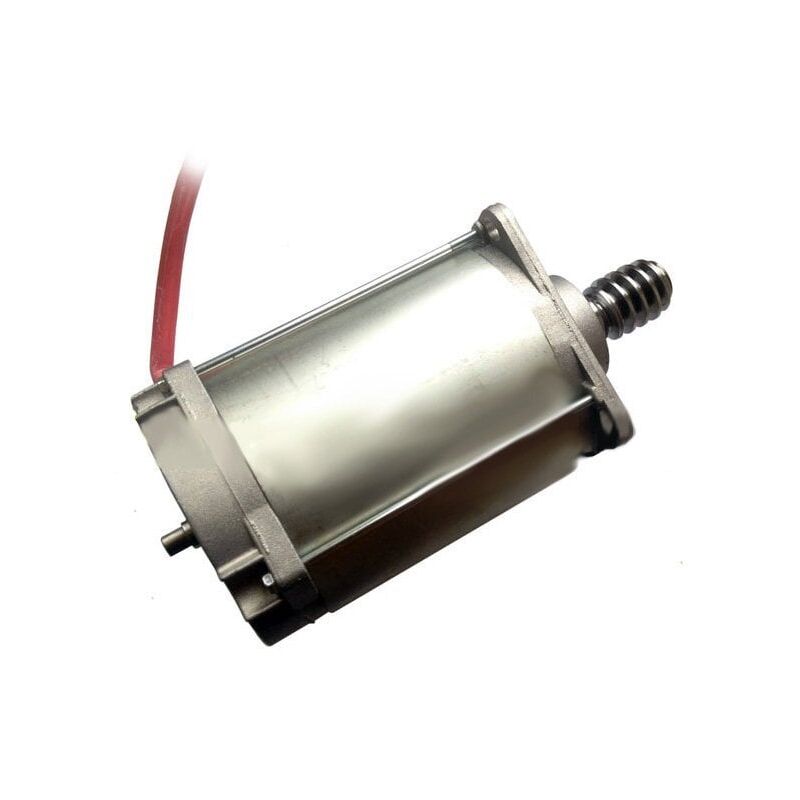 Ensemble moteur de remplacement pour portail coulissant Came pour SDN10 BXV10 - 119RIBS022