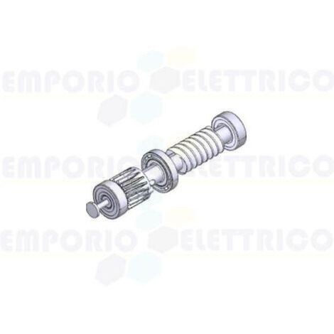 came ricambio vite senza fine seconda riduzione frog-j 119ria067