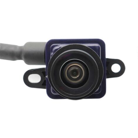 Caméra de recul pour Charger 300