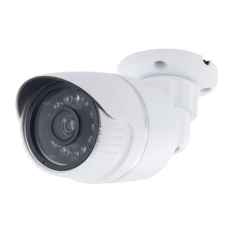 Chacon - Caméra factice Aluminium - led bleu - Blanc