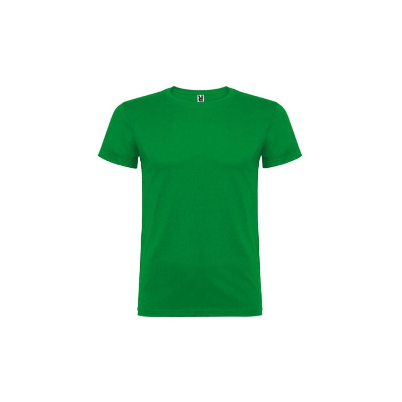 

Camiseta de manga corta, de cuello redondo BEAGLE CA6554 | Verde Kelly - XXXL