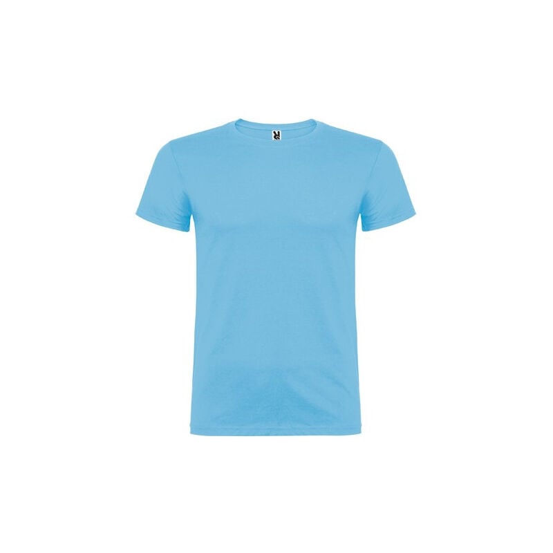 

Camiseta de manga corta, de cuello redondo BEAGLE CA6554 (Para niños y niñas) | Celeste - 11/12