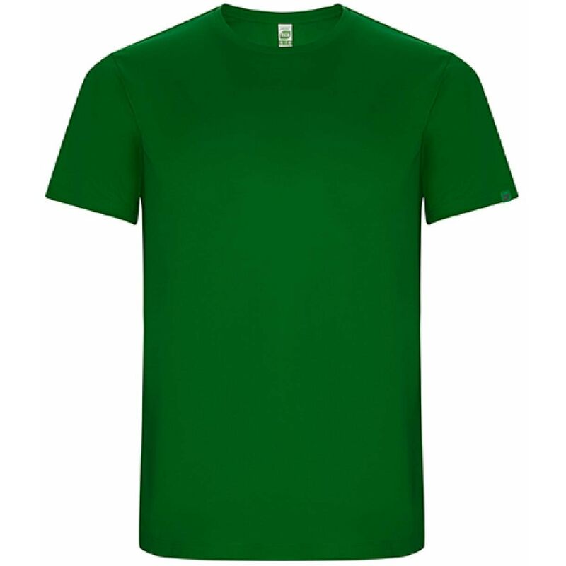 

Camiseta Imola Verde Helecho 4