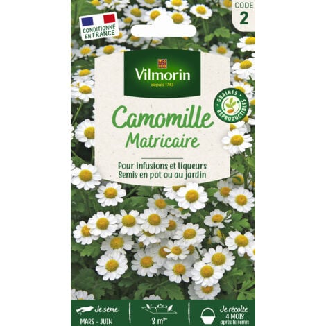 VILMORIN Sachet graines Camomille