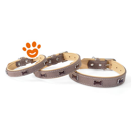 Camon Dog Collare "Timber" Marrone  - Camon Dog Collare "Timber" Marrone - Collare da 20x460 mm