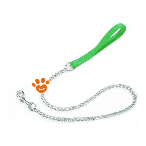 Camon Guinzaglio Catena F 159/04 Verde 1,6x800 per Cane  - Camon Guinzaglio Catena F 159/04 Verde 1,6x800 per Cane - Verde