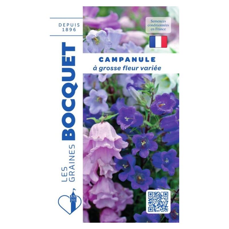 Campanule à grosse fleur variée - 0,5g
