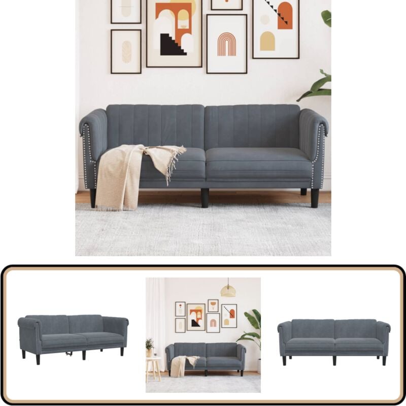 Vidaxl - Canapé à 2 places gris foncé velours - Canapé Deux Places - Canapé Velours - Canapé Gris - Canapé Design - Meuble Salon