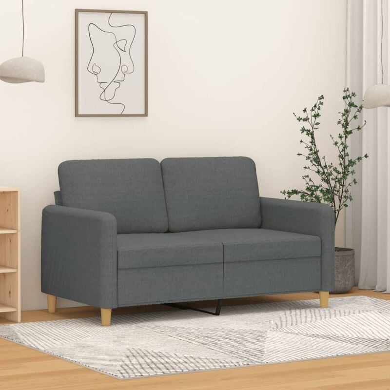 Vidaxl - Canapé à 2 places Gris foncé 120 cm Tissu