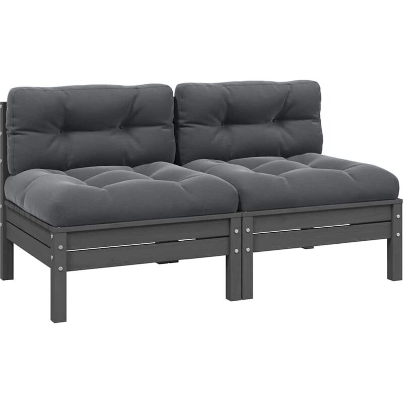 Vidaxl - Canapé 2 places de jardin et coussins Gris Bois de pin solide