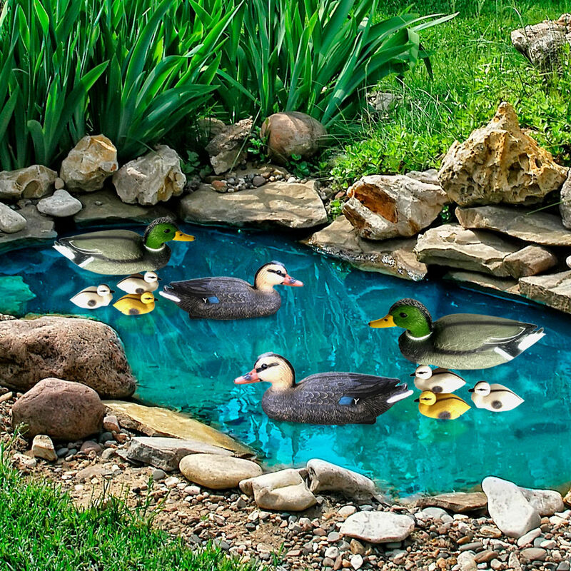 Canards d'étang pour étang de jardin canard famille nageant canard pour étang décoration colvert décoration d'étang flottant, avec oeillet de
