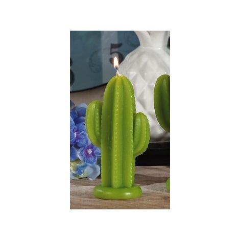CAND M.CACTUS ASS2COL CM7X5XH12,5