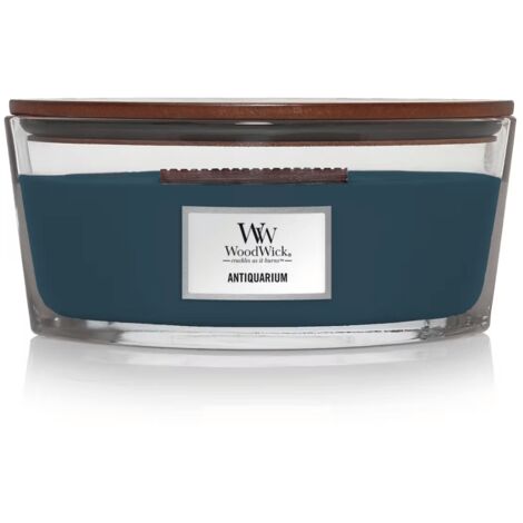 CANDELA ELLIPSE ANTIQUARIUM - WOODWICK