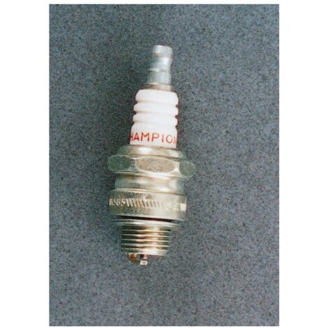 CANDELA PER TOSAERBA CHAMPION J17LM 3210062(J19